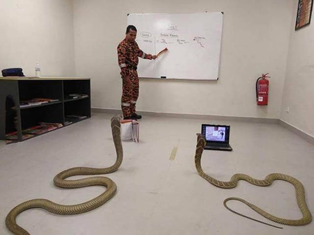 Teaching_Python: Sorry, we couldn't resist.